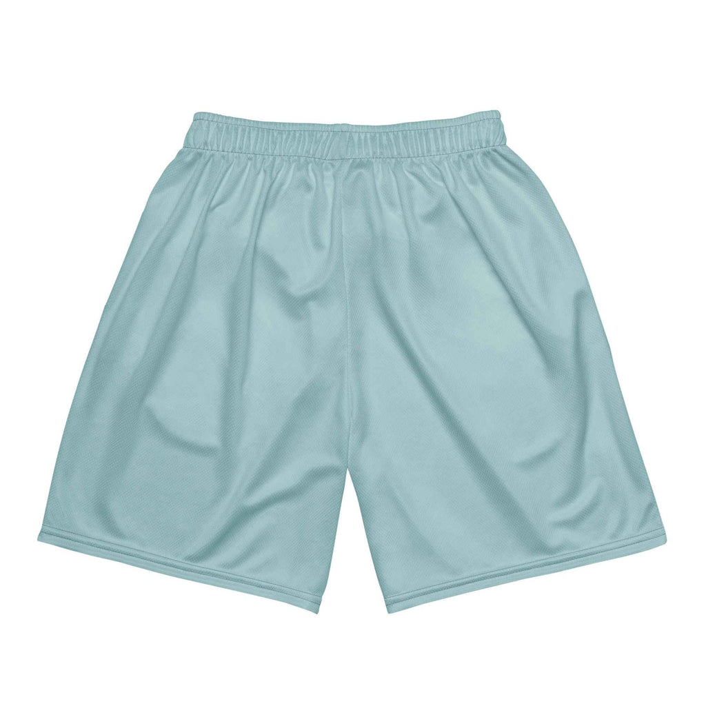 Slate Unisex mesh shorts