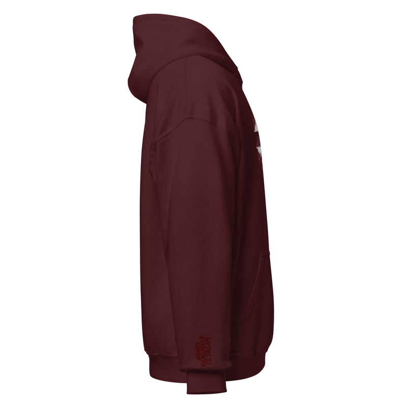 Mountain Skys Embroidered Maroon Hoodie