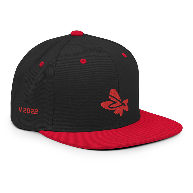 V 2022 Snapback Hat